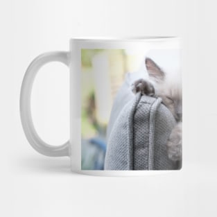 the gray and white ragdoll cat sleeping Mug